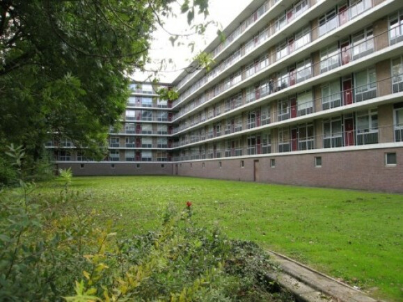 Wildenborglaan